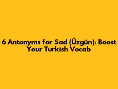 6 Antonyms for 'Sad' (Üzgün): Boost Your Turkish Vocab
