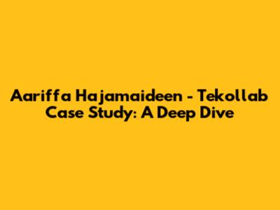 Aariffa Hajamaideen - Tekollab Case Study: A Deep Dive