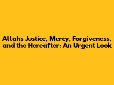Allah's Justice, Mercy, Forgiveness, and the Hereafter: An Urgent Look