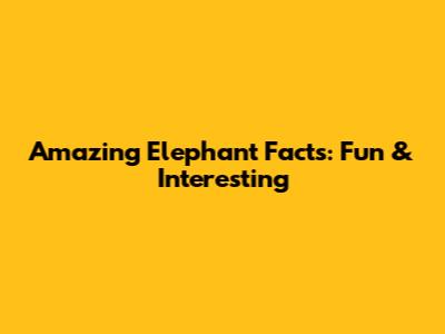 Amazing Elephant Facts: Fun & Interesting