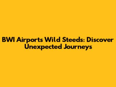 BWI Airport's Wild Steeds: Discover Unexpected Journeys