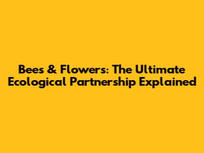 Bees & Flowers: The Ultimate Ecological Partnership Explained