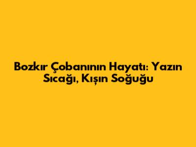 Bozkır Çobanının Hayatı: Yazın Sıcağı, Kışın Soğuğu