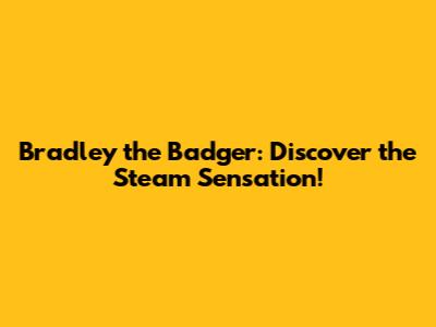 Bradley the Badger: Discover the Steam Sensation!