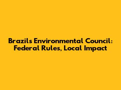 Brazil's Environmental Council: Federal Rules, Local Impact