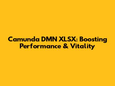 Camunda DMN XLSX: Boosting Performance & Vitality