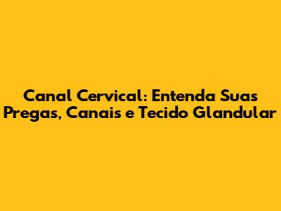 Canal Cervical: Entenda Suas Pregas, Canais e Tecido Glandular