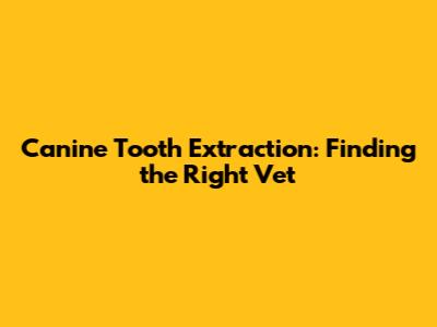 Canine Tooth Extraction: Finding the Right Vet