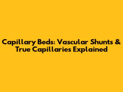 Capillary Beds: Vascular Shunts & True Capillaries Explained