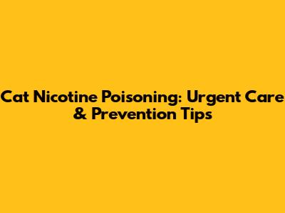 Cat Nicotine Poisoning: Urgent Care & Prevention Tips