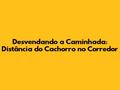 Desvendando a Caminhada: Distância do Cachorro no Corredor