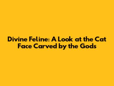 Divine Feline: A Look at the Cat Face Carved by the Gods