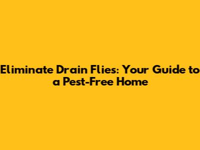 Eliminate Drain Flies: Your Guide to a Pest-Free Home