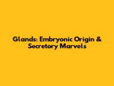 Glands: Embryonic Origin & Secretory Marvels