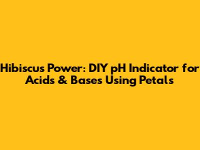 Hibiscus Power: DIY pH Indicator for Acids & Bases Using Petals