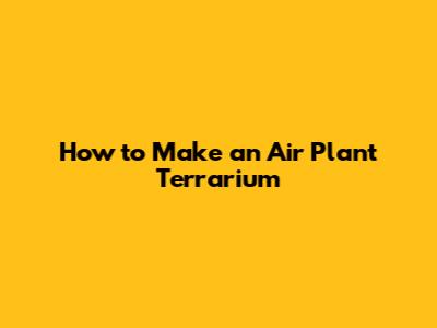 How to Make an Air Plant Terrarium