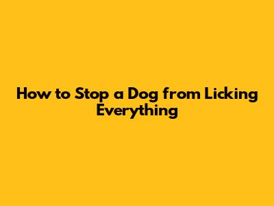 How to Stop a Dog from Licking Everything