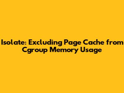 Isolate: Excluding Page Cache from Cgroup Memory Usage