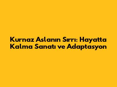 Kurnaz Aslanın Sırrı: Hayatta Kalma Sanatı ve Adaptasyon