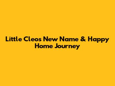 Little Cleo's New Name & Happy Home Journey