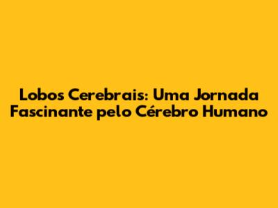 Lobos Cerebrais: Uma Jornada Fascinante pelo Cérebro Humano