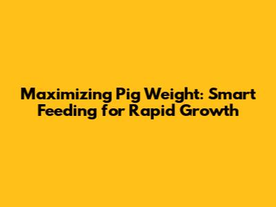 Maximizing Pig Weight: Smart Feeding for Rapid Growth