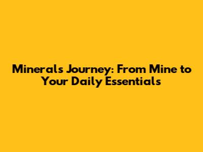 Minerals' Journey: From Mine to Your Daily Essentials
