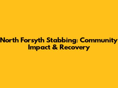 North Forsyth Stabbing: Community Impact & Recovery