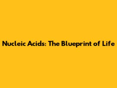 Nucleic Acids: The Blueprint of Life