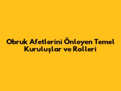 Obruk Afetlerini Önleyen Temel Kuruluşlar ve Rolleri
