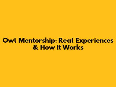 Owl Mentorship: Real Experiences & How It Works