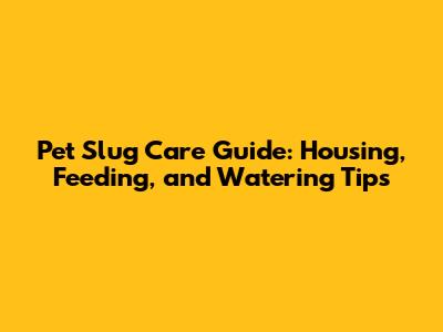 Pet Slug Care Guide: Housing, Feeding, and Watering Tips