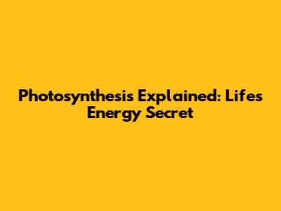 Photosynthesis Explained: Life's Energy Secret