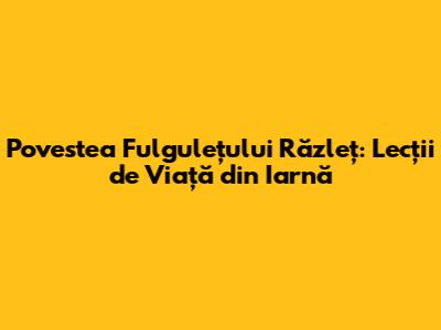 Povestea Fulgulețului Răzleț: Lecții de Viață din Iarnă