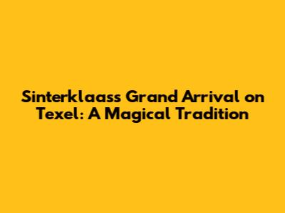 Sinterklaas's Grand Arrival on Texel: A Magical Tradition