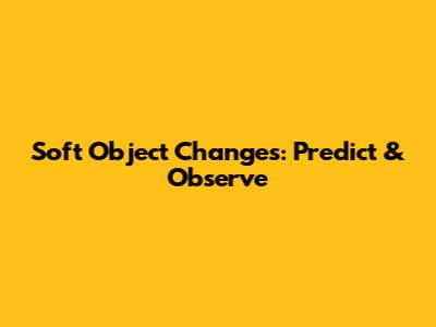 Soft Object Changes: Predict & Observe
