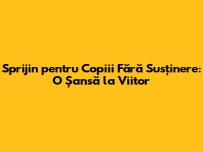 Sprijin pentru Copiii Fără Susținere: O Șansă la Viitor