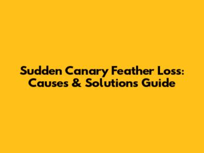 Sudden Canary Feather Loss: Causes & Solutions Guide