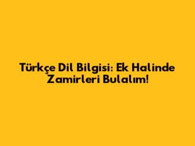 Türkçe Dil Bilgisi: Ek Halinde Zamirleri Bulalım!
