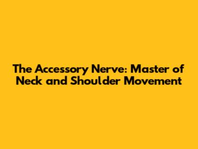 The Accessory Nerve: Master of Neck and Shoulder Movement