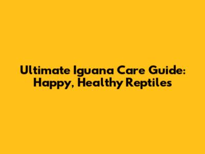 Ultimate Iguana Care Guide: Happy, Healthy Reptiles