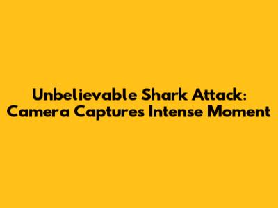 Unbelievable Shark Attack: Camera Captures Intense Moment