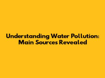Understanding Water Pollution: Main Sources Revealed