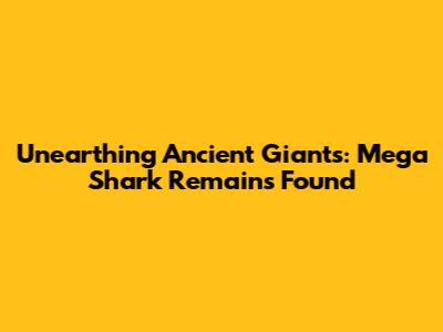 Unearthing Ancient Giants: Mega Shark Remains Found