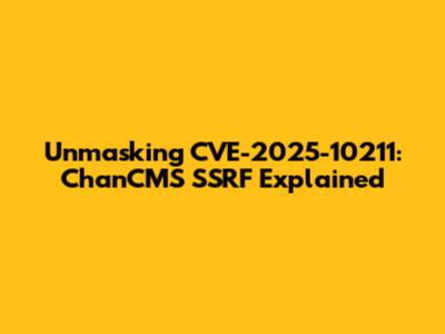Unmasking CVE-2025-10211: ChanCMS SSRF Explained