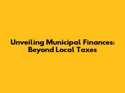 Unveiling Municipal Finances: Beyond Local Taxes