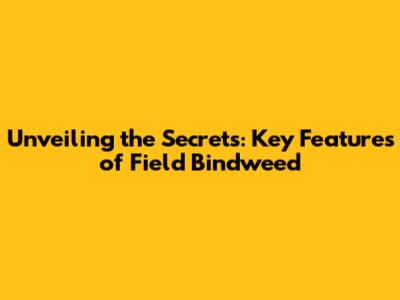Unveiling the Secrets: Key Features of Field Bindweed