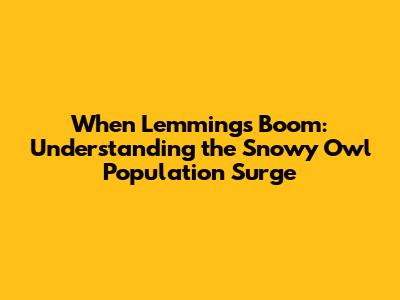 When Lemmings Boom: Understanding the Snowy Owl Population Surge
