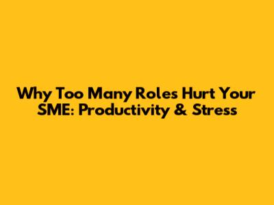 Why Too Many Roles Hurt Your SME: Productivity & Stress