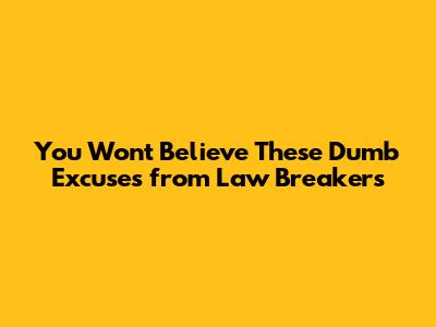 You Won't Believe These Dumb Excuses from Law Breakers